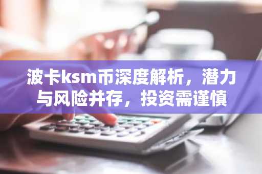 波卡ksm币深度解析，潜力与风险并存，投资需谨慎