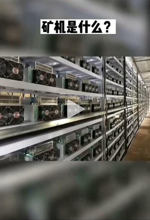 鱼池租用矿机攻略，低成本挖矿新选择