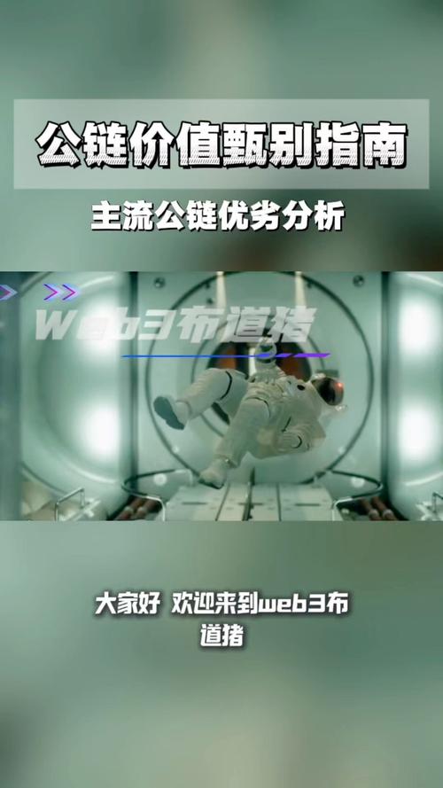 BAS公链入门攻略，新手必看玩法与资讯汇总