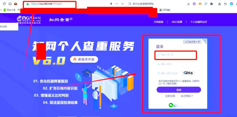 B网提现攻略，安全高效操作详解