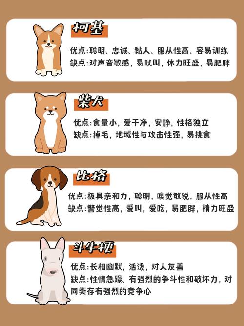 比特犬生产后注意事项及护理方法详解