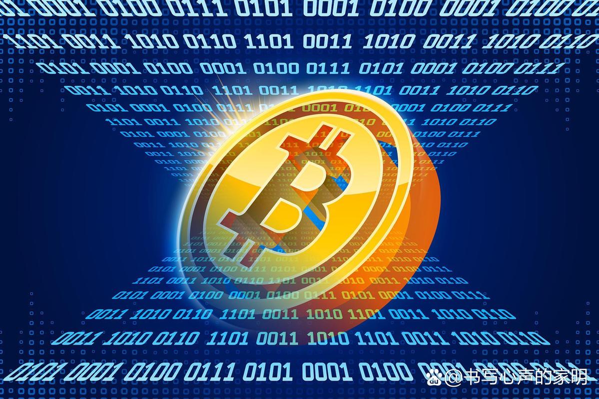 星云币详细介绍，数字货币的崛起与挑战