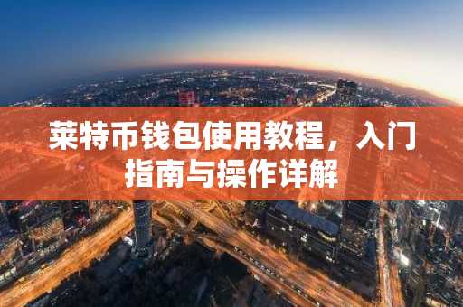 莱特币钱包使用教程，入门指南与操作详解