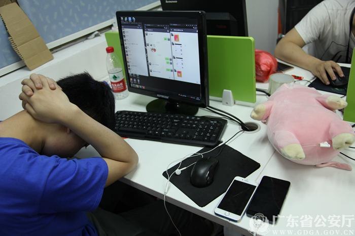 萤火虫币深度解析，前景与风险并存，投资需谨慎