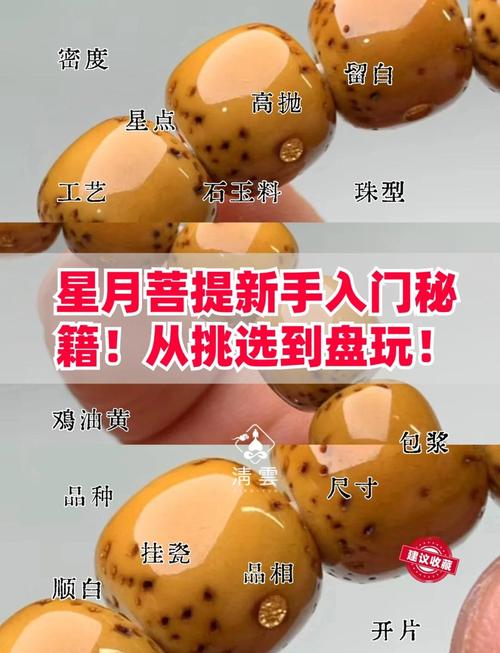 菩提ICO众筹攻略，全面解析众筹步骤与注意事项