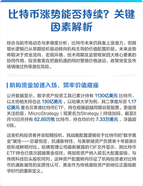 比特币股BTS分析，投资前景与风险解析