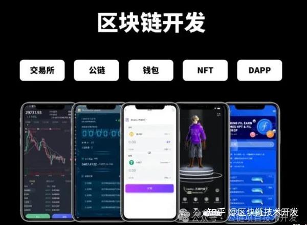 如何查询钱包区块高度详解