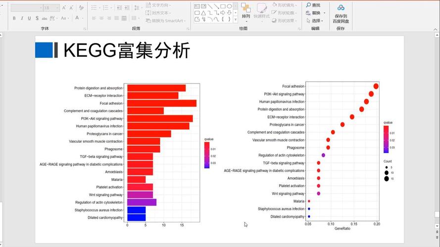 CKB币种深度解析，性能、应用与未来展望