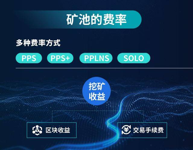 蚂蚁矿池操作指南，新手快速上手教程