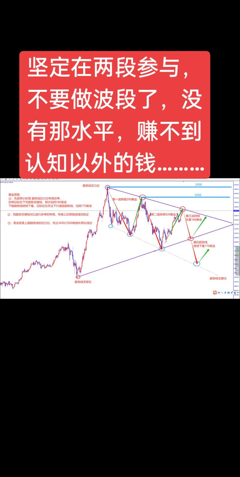 TWT币深度解析，价值潜力与风险预警
