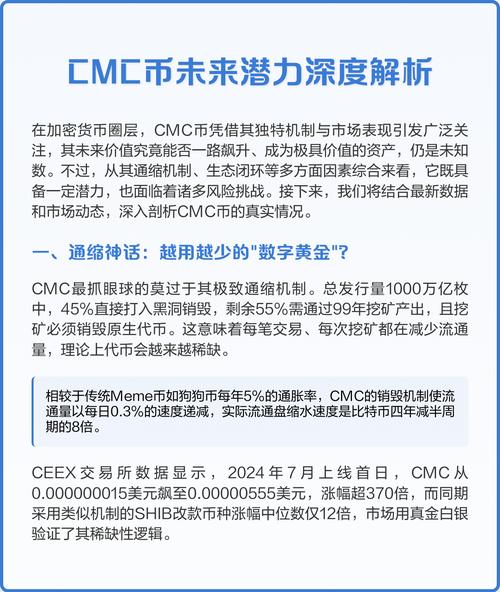 币看平台深度评测，功能解析与市场表现分析