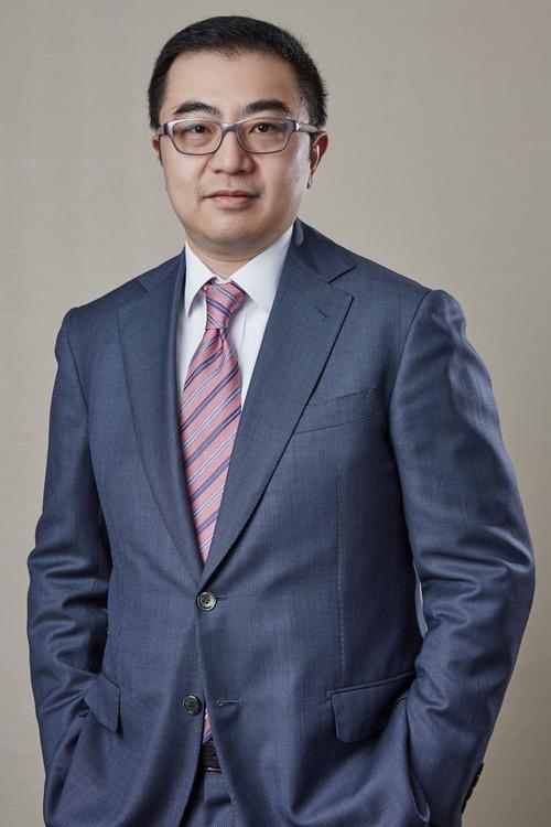 薄雾创投深度解析，投资策略与市场表现全揭秘