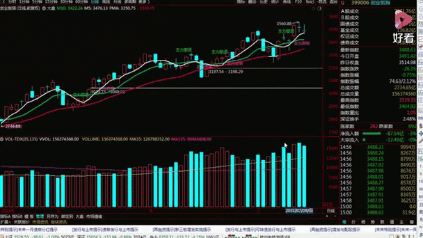 揭秘12币种，市场动态与投资前景分析