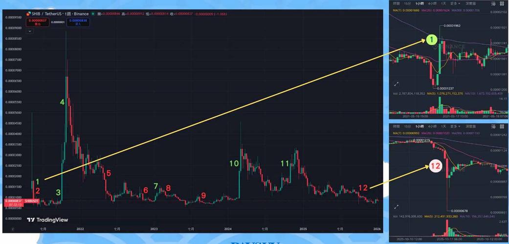YFBTC币种深度解析，投资潜力与风险预警