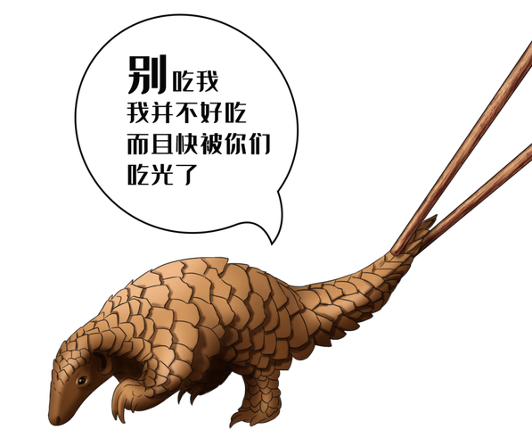 穿山甲矿机评测，性能解析与市场前景分析