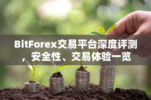 BitForex交易平台深度评测，安全性、交易体验一览
