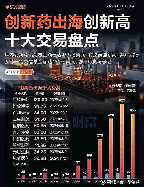 BDG数字币深度解析，前景与风险并存