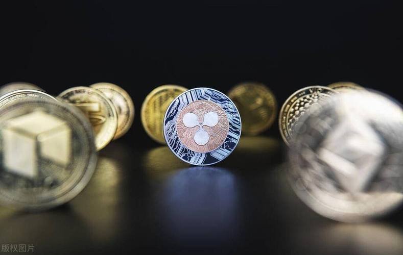 瑞波币购买指南，快速入门与交易平台选择