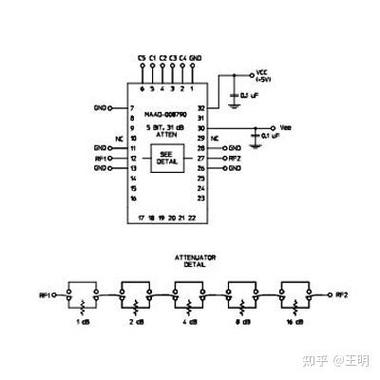 比特儿升V攻略，快速升级路径详解