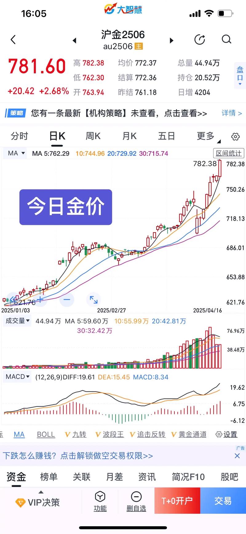 ACC币实时价格行情分析及最新动态