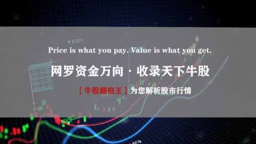 储备币市场动态解析，最新行情与投资前景