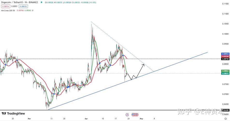 VET币深度解析，现状、前景与投资风险一览