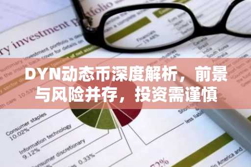 DYN动态币深度解析，前景与风险并存，投资需谨慎