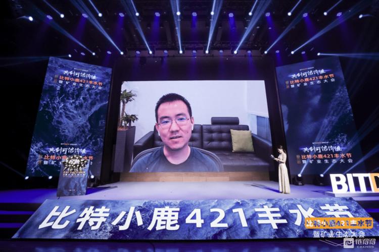 小鹿矿机评测，性能解析与市场前景分析