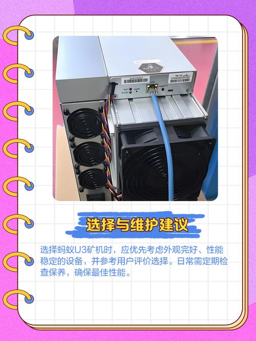 蚂蚁矿机订购攻略，流程详解及注意事项