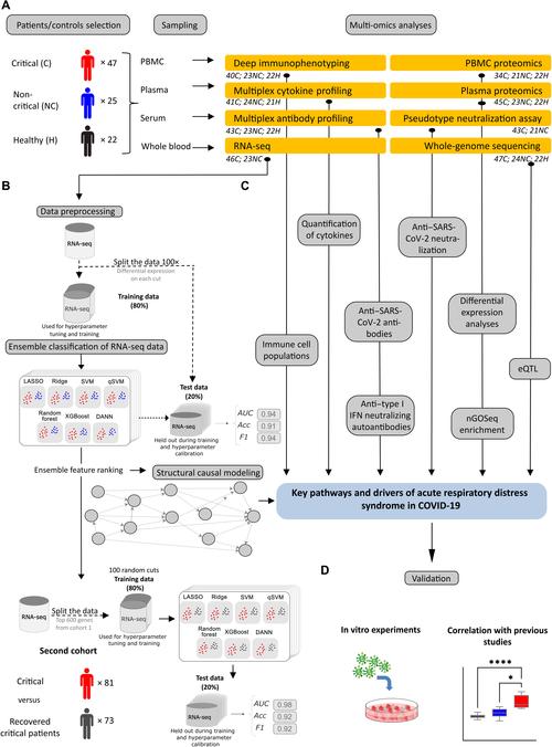 物联币XTC深度解析，前景与风险并存