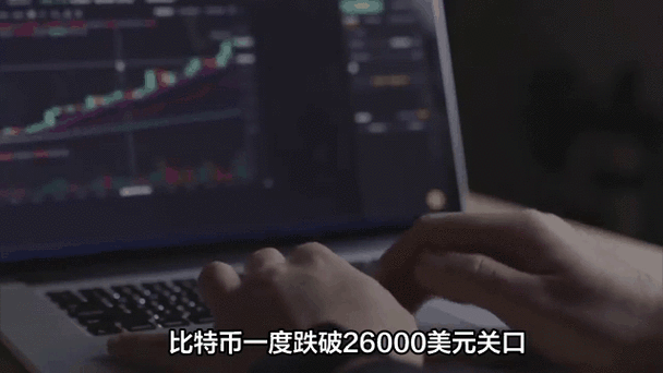 REEF币前景分析，加密货币市场动态与投资展望