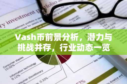 Vash币前景分析，潜力与挑战并存，行业动态一览