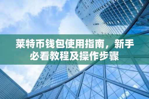 莱特币钱包使用指南，新手必看教程及操作步骤