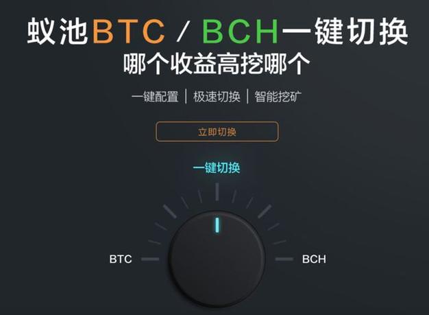 蚂蚁矿池提取教程，详细步骤与操作指南