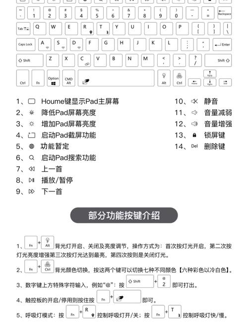 行云手环使用指南，功能详解与操作步骤