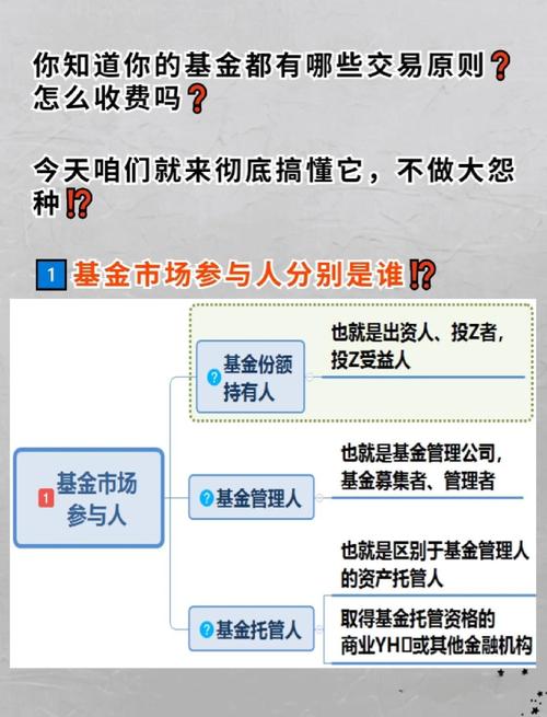 公信宝币深度解析，投资潜力与风险分析
