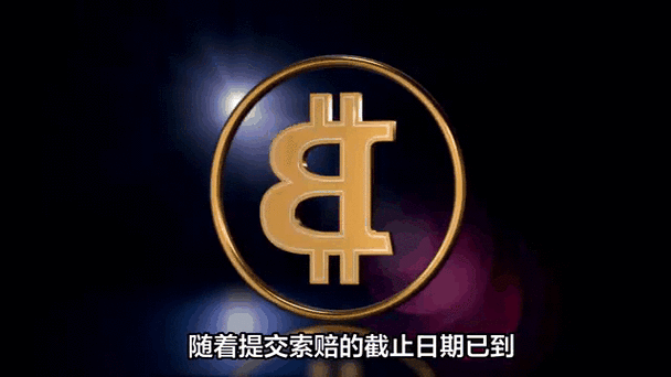 山寨币比特币分析，市场动态与投资风险揭秘