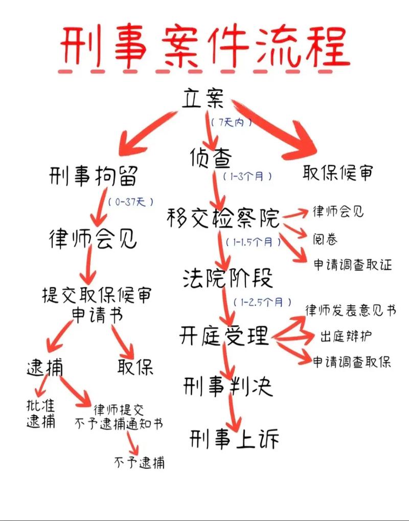 Csw案深度解析，网络犯罪案件的法律视角与案例分析