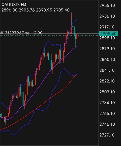 NMC域名币深度解析，投资价值与风险分析
